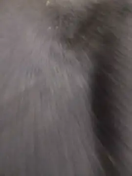 Snapshot of Funny_Karina chatting on 15, 12, 2025 Funny Karina online show from 15, 12, 2025