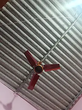 Cute-Swewty online show from 9, 2, 2026