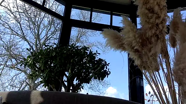 3615-ULLA online show from 22, 3, 2026