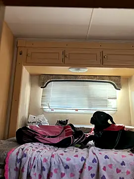 Snapshot of high3ndlowlife chatting on 20, 11, 2025 high3ndlowlife online show from 20, 11, 2025