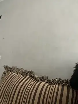 NoddingScorpion online show from 10, 11, 2025