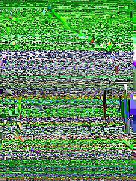 OrchidBae online show from 8, 10, 2025