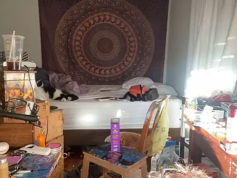 Snapshot of XanderOzzz chatting on 6, 11, 2025 XanderOzzz online show from 6, 11, 2025