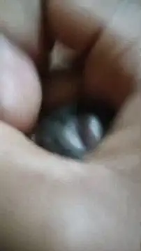 Vizgeboys online show from 2, 12, 2025