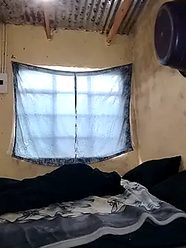 shebeshid online show from 8, 4, 2026