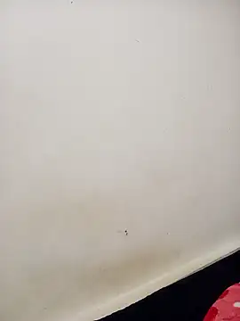 Dani 34velan online show from 6, 10, 2025