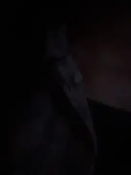 Snapshot of LilybethGray chatting on 19, 11, 2025 LilybethGray online show from 19, 11, 2025