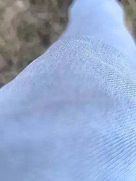 rajdehli online show from 4, 4, 2026