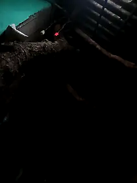 Snapshot of Suhana_pandit chatting on 29, 9, 2025 Suhana pandit online show from 29, 9, 2025