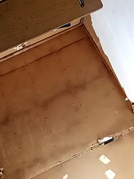 lucho2328 online show from 13, 1, 2026