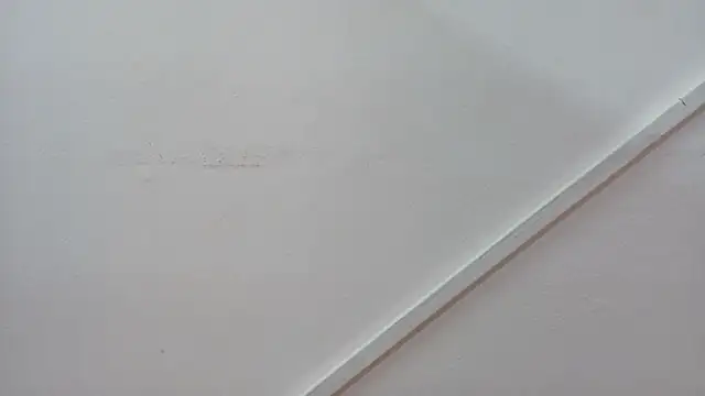 Snapshot of Lizbeth_Rouse chatting on 26, 10, 2025 Lizbeth Rouse online show from 26, 10, 2025