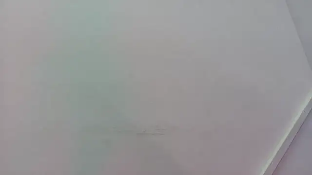 Snapshot of Lizbeth_Rouse chatting on 21, 11, 2025 Lizbeth Rouse online show from 21, 11, 2025