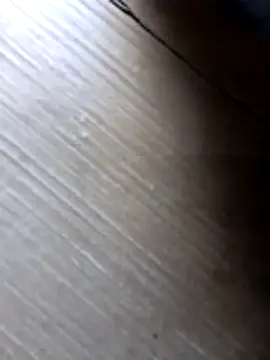 Snapshot of liza-212 chatting on 10, 10, 2025 liza-212 online show from 10, 10, 2025