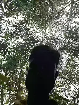 96Rohon online show from 26, 4, 2026