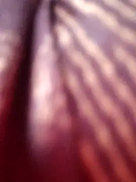 Snapshot of Tamilreethu chatting on 5, 10, 2025 Tamilreethu online show from 5, 10, 2025