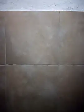 Chingasexo online show from 17, 4, 2026