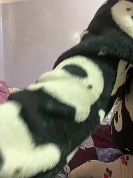 Sandhya 77 online show from 2, 2, 2026