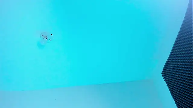 Im naho online show from 22, 10, 2025