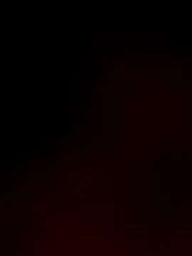 Snapshot of NonunionSilence chatting on 10, 10, 2025 NonunionSilence online show from 10, 10, 2025