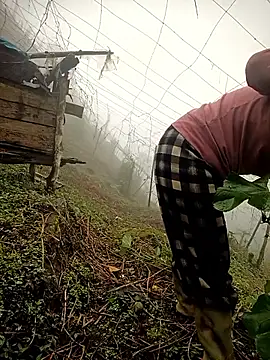 quynhkoolbae online show from 4, 3, 2026