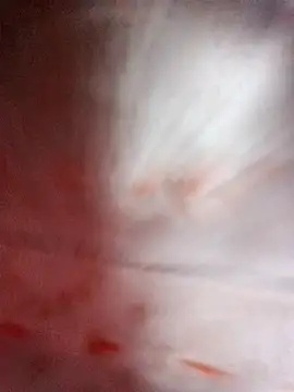 Pinki thakur 1 online show from 11, 9, 2025