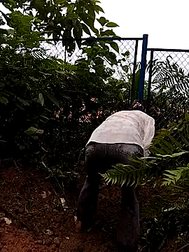 Snapshot of linda_bae00 chatting on 27, 9, 2025 linda bae00 online show from 27, 9, 2025