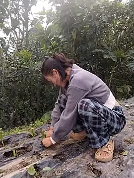 Snapshot of linda_bae00 chatting on 15, 11, 2025 linda bae00 online show from 15, 11, 2025