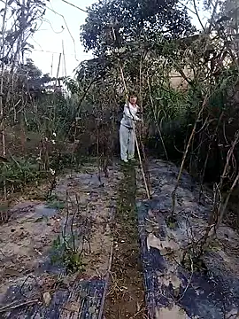 Snapshot of linda_bae00 chatting on 27, 11, 2025 linda bae00 online show from 27, 11, 2025