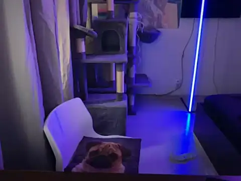 davesinner online show from 2, 3, 2026