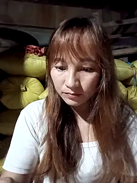 Mini3333 online show from 2, 4, 2026