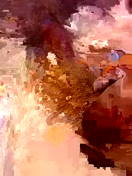 Hl1979 online show from 26, 9, 2025