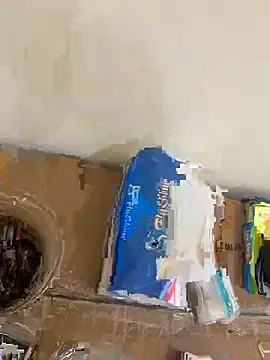 Hl1979 online show from 28, 9, 2025