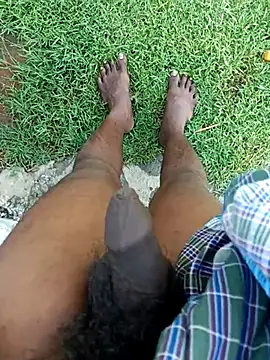 dolphiinn online show from 7, 11, 2025