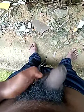 dolphiinn online show from 17, 12, 2025