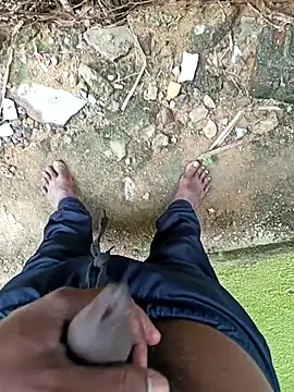 dolphiinn online show from 18, 12, 2025