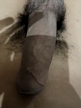 official plsr5 online show from 6, 11, 2025