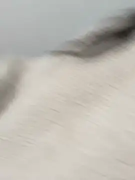 Victoria alson online show from 19, 2, 2026