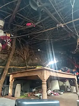 cute diya 12 online show from 11, 11, 2025