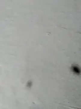 Mollysdick online show from 16, 4, 2026