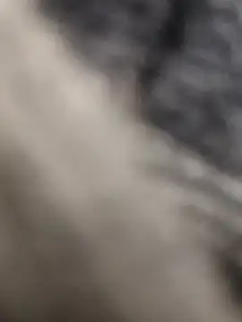 Hot modal online show from 2, 2, 2026