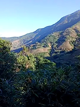 misa 00 online show from 29, 11, 2025