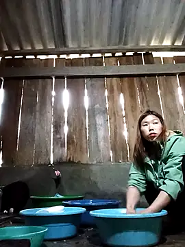 Snapshot of Ngocmi909 chatting on 17, 12, 2025 Ngocmi909 online show from 17, 12, 2025