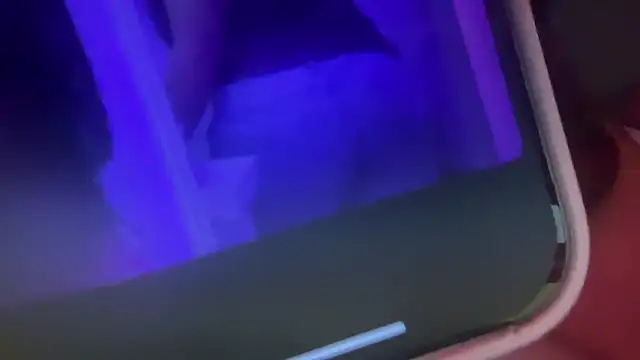 bunnytentacion online show from 19, 11, 2025