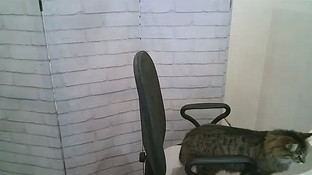 Helen xi  online show from 13, 1, 2026