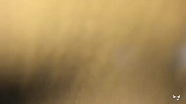 vlakas from cbate online show from 5, 1, 2026