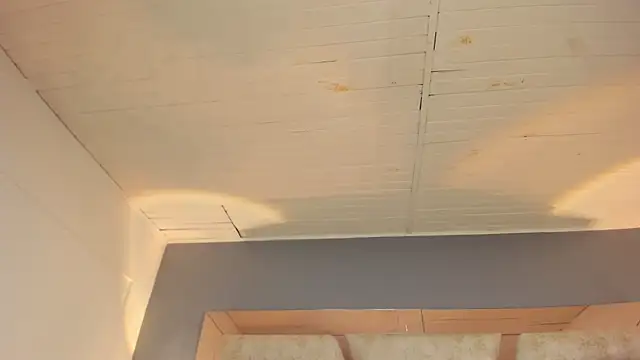 BellaBoobs  online show from 5, 2, 2026