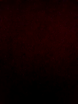 Snapshot of PunjabiSardarBull chatting on 26, 2, 2026 PunjabiSardarBull online show from 26, 2, 2026