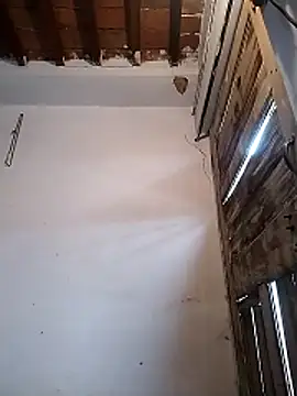 Snapshot of PunjabiSardarBull chatting on 19, 3, 2026 PunjabiSardarBull online show from 19, 3, 2026