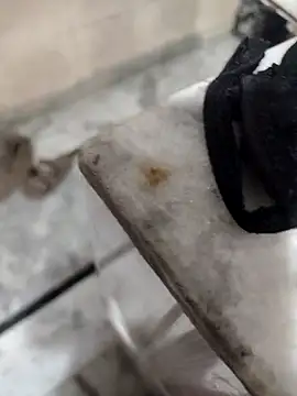 Snapshot of meenu_bhabhi547 chatting on 9, 10, 2025 meenu bhabhi547 online show from 9, 10, 2025