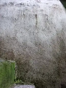 Snapshot of Simakchi chatting on 29, 9, 2025 Simakchi online show from 29, 9, 2025